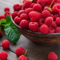 Cinnamon Bark Extract — Blood sugar stabilization and post-meal glucose response support in MounjaMelt metabolic formula